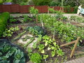 vignette Potager de Wisley garden