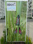 vignette Exposition Brest Biodiversit 2010