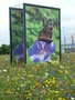 vignette Dcor estival sur Rond points  Brest Capitale biodiversit maritime 2010