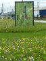 vignette Dcor estival sur Rond points  Brest Capitale biodiversit maritime 2010