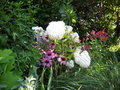 vignette Hydranga Paniculata'Vanille Fraise ,Echinaca Purpura,Alstroemeria 'Margaret'