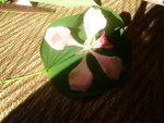 vignette bauhinia bonandra, arbre  orchide rose
