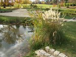 vignette Nantes, Parc Exotique du Grand Blottereau, jardin coren