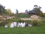 vignette Nantes, Parc Exotique du Grand Blottereau, jardin coren