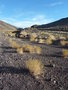 vignette Death Valley National Park