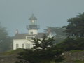 vignette Monterey