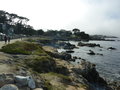 vignette Monterey