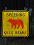 vignette Panneau Speeding kills Bears