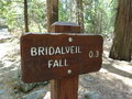 vignette Bridalveil Fall valle de Yosemite