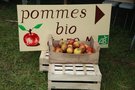 vignette Exposant professionnel : Pommes bio, Jean-Pierre Sclaminec, Plozevet
