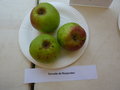 vignette Pomme 'Reinette de Rosporden' au verger conservatoire