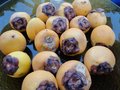 vignette Jubea chilensis  fruits