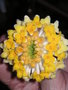 vignette Edgeworthia chrysantha - Edworthie  fleurs d'or