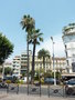 vignette Palmiers  Cannes
