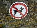 vignette Panneau interdit aux chiens