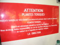 vignette Mise en garde sur le danger des plantes au Clos du Coudray