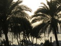 vignette Coucher de soleil  Aqaba