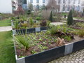 vignette Jardin du Thatre