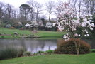 vignette Magnolia (Nantes, Parc Floral de La Beaujoire)
