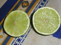 vignette fruit du lime 2 (citron vert)