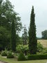vignette Jardin du Chteau du Pin  Champtoc sur Loire (49)
