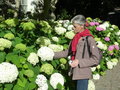 vignette La SHBL visite le Jardin des plantes d'Angers