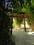 vignette 6 a torii (entre du vallon du dragon )