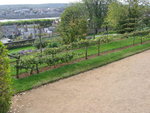 vignette Jardins et Espaces verts Ville de Blois