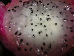 vignette Hylocereus undatus  - Le pitaya ou pitahaya ( fruit du dragon )