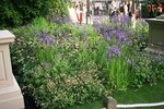 vignette Chelsea flower garden show