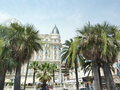 vignette Palmiers  Cannes