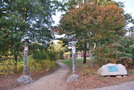 vignette Jardin coren