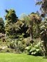 vignette Jardin Botanique de la Villa Carlotta