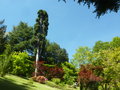 vignette Jardin Botanique de la Villa Carlotta