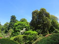 vignette Jardin Botanique de la Villa Carlotta