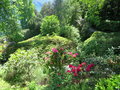 vignette Jardin Botanique de la Villa Carlotta