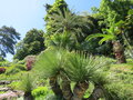 vignette Jardin Botanique de la Villa Carlotta