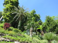 vignette Jardin Botanique de la Villa Carlotta