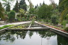 vignette bassins pour plantes aquatiques