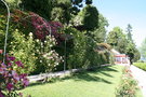 vignette Villa Carlotta - pergola de roses