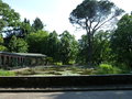 vignette Jardin Botanique - Villa Taranto - bassin et serres