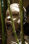 vignette l'homme des bambous (sculpture de Lisa Deck )