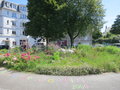 vignette Le Rond de jardin est implant sur le rond point de la place Nicolas Appert  Brest