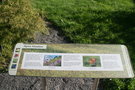 vignette RHS Garden Wisley - Alpine Meadow