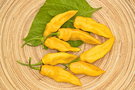 vignette Bhut jolokia yellow (C. chinense)