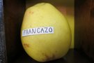 vignette pomme 'Francazo' Pomme  couteau
