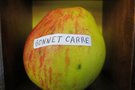 vignette pomme 'Bonnet Carr' Pomme  couteau