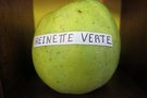 vignette pomme 'Reinette Verte' Pomme  couteau