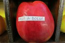 vignette pomme 'Coeur de Boeuf' Pomme  couteau