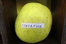 vignette pomme 'Tentation' Pomme  couteau
